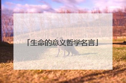 生命的意义哲学名言