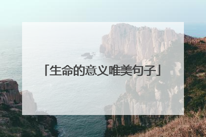 生命的意义唯美句子