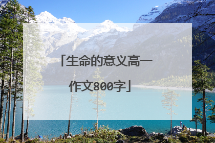 生命的意义高一作文800字