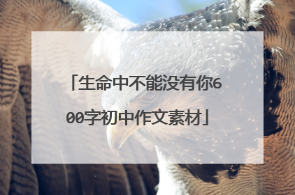 生命中不能没有你600字初中作文素材