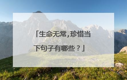 生命无常,珍惜当下句子有哪些？