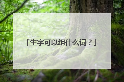 生字可以组什么词？