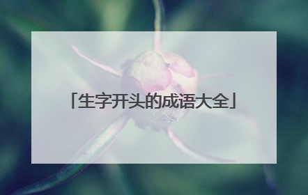 生字开头的成语大全