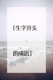 生字开头的成语