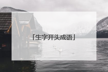生字开头成语