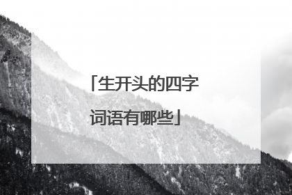 生开头的四字词语有哪些