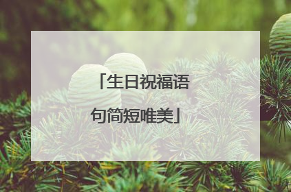 生日祝福语句简短唯美
