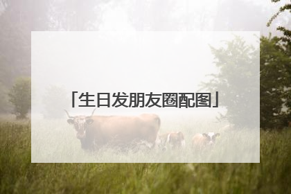 生日发朋友圈配图