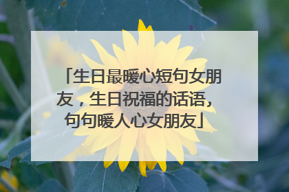 生日最暖心短句女朋友,生日祝福的话语,句句暖人心女朋友