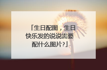 生日配图，生日快乐发的说说需要配什么图片?