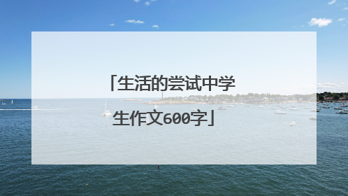 生活的尝试中学生作文600字