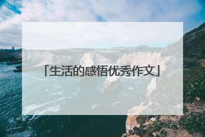 生活的感悟优秀作文