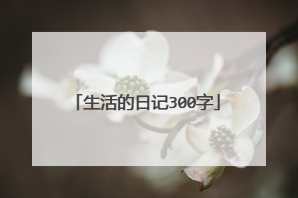 生活的日记300字