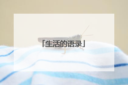 生活的语录