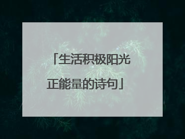 生活积极阳光正能量的诗句