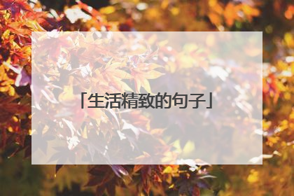 生活精致的句子