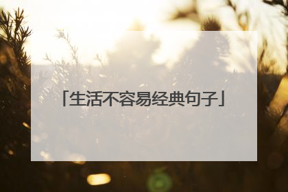 生活不容易经典句子