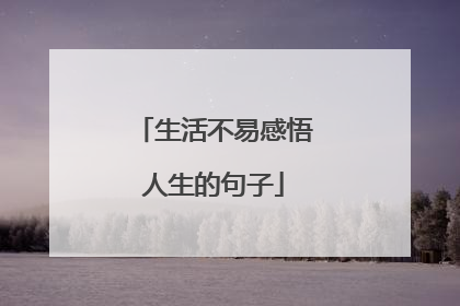 生活不易感悟人生的句子