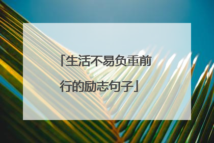 生活不易负重前行的励志句子
