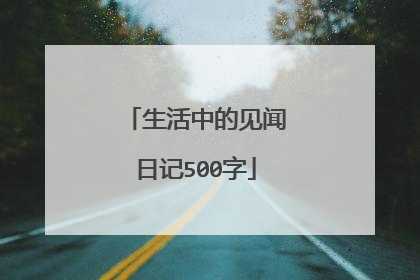 生活中的见闻日记500字