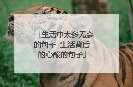 生活中太多无奈的句子 生活背后的心酸的句子