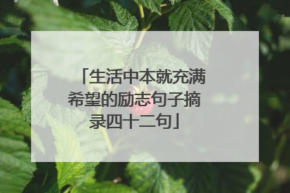 生活中本就充满希望的励志句子摘录四十二句