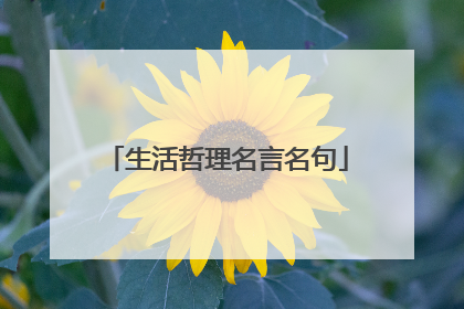 生活哲理名言名句