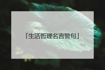 生活哲理名言警句