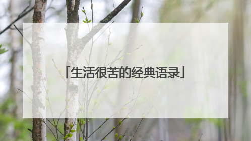 生活很苦的经典语录