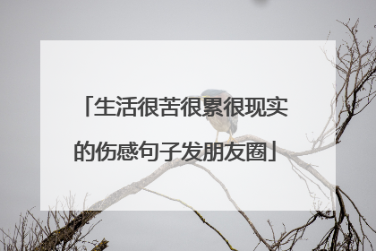生活很苦很累很现实的伤感句子发朋友圈