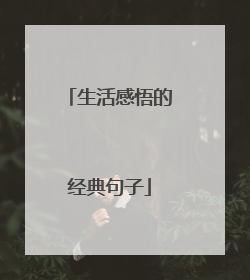 生活感悟的经典句子