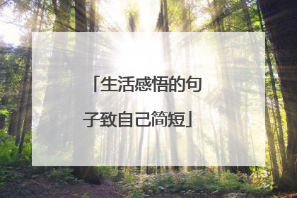 生活感悟的句子致自己简短