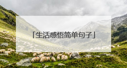 生活感悟简单句子