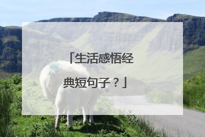 生活感悟经典短句子？
