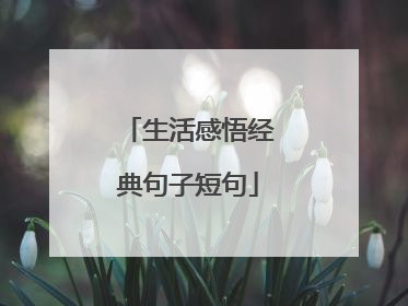 生活感悟经典句子短句
