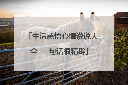 生活感悟心情说说大全 一句话很精辟