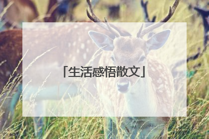 生活感悟散文