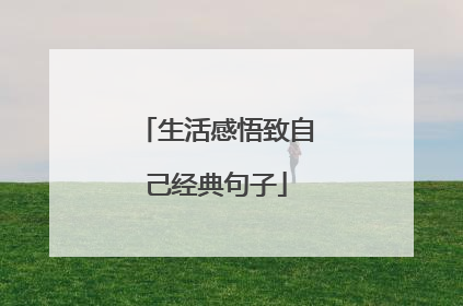 生活感悟致自己经典句子