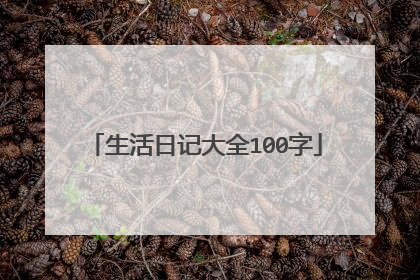 生活日记大全100字