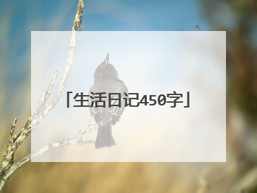 生活日记450字