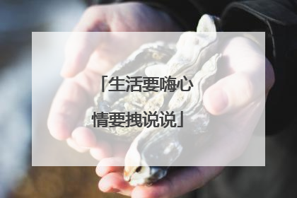 生活要嗨心情要拽说说