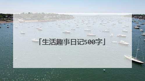 生活趣事日记500字