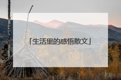 生活里的感悟散文