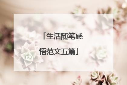 生活随笔感悟范文五篇