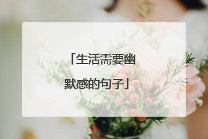 生活需要幽默感的句子