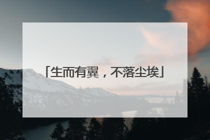 生而有翼，不落尘埃