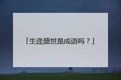 生逢盛世是成语吗?