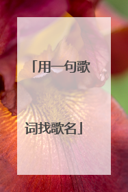 用一句歌词找歌名