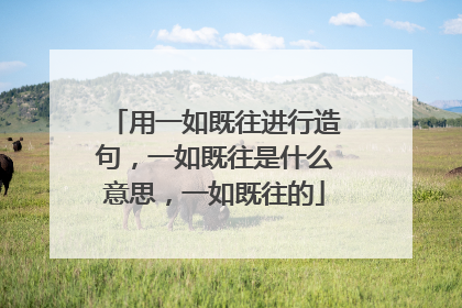 用一如既往进行造句,一如既往是什么意思,一如既往的