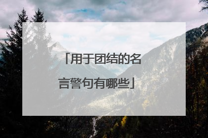 用于团结的名言警句有哪些